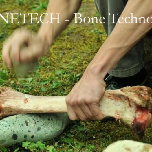 image BONETECH