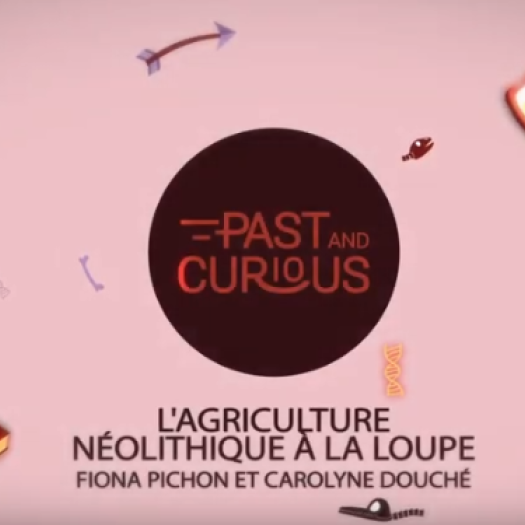 lagriculture_neolithique_a_la_loupe_-_youtube.png