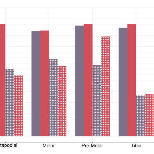 fig_4_ancient-dna-refines-taxonomic-classification-of-roman-equ_2022_jas.png