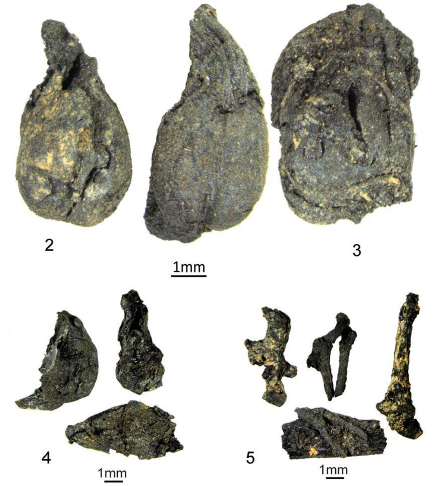 residus_raisins.png